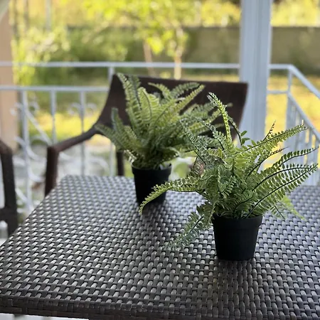 Itamos Studio-3 Nyaraló